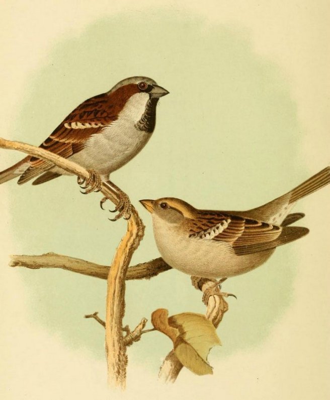 Image030.jpg