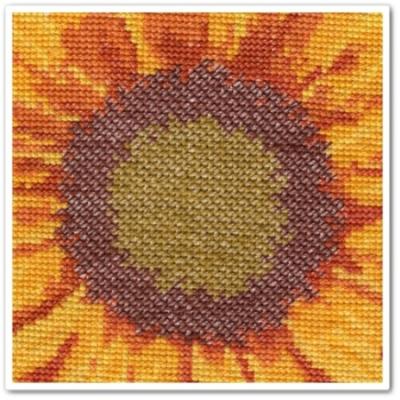 Le tournesol de Lilipoints fin