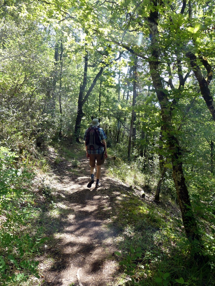 Sur le chemin