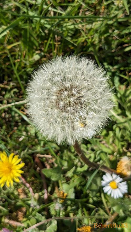 photos plaisir en Mars