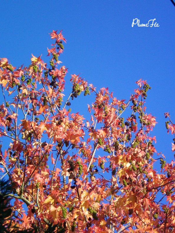 Image010.jpg