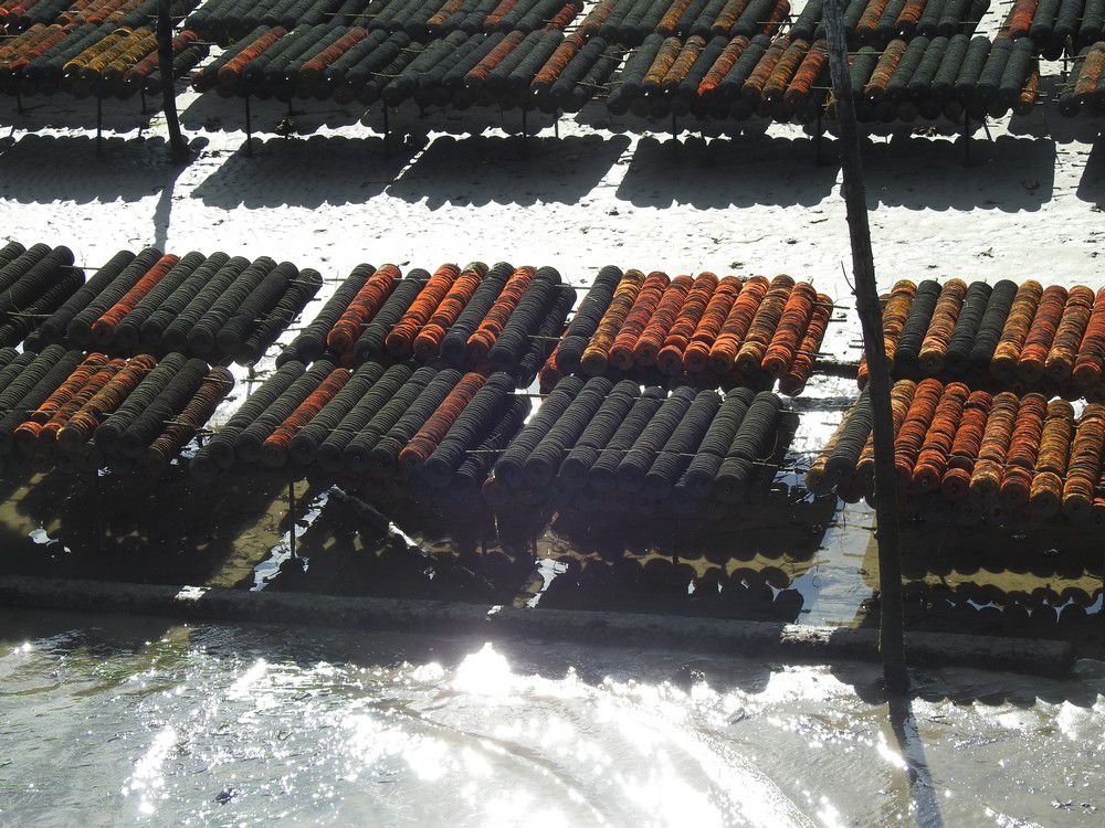 Lorsque les parcs à huîtres prennent des couleurs d'automne...