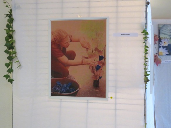 Au Salon d'Automne de Chamesson en 2024, 35 peintres ont présenté 165 tableaux, tous plus beaux les uns que les autres !