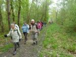 La randonnée du 6 mai à Bavent