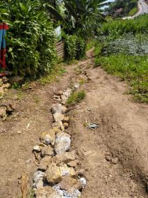 Dernières nouvelles