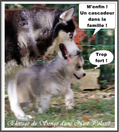 Portée d'Ourika (19 novembre 2023)