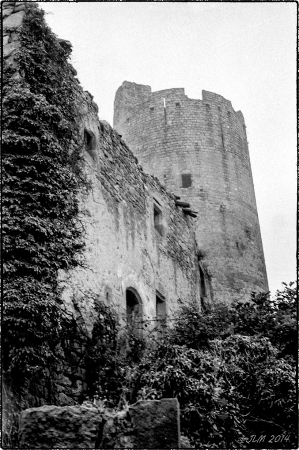 Montpeyroux 1977