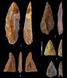 8 - L'expansion des Homo sapiens