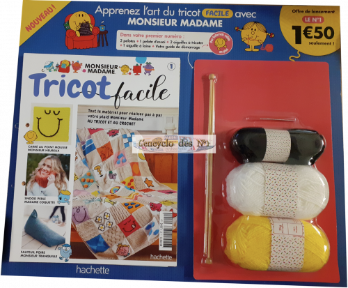 N° 1 Tricot facile avec Monsieur Madame - Test