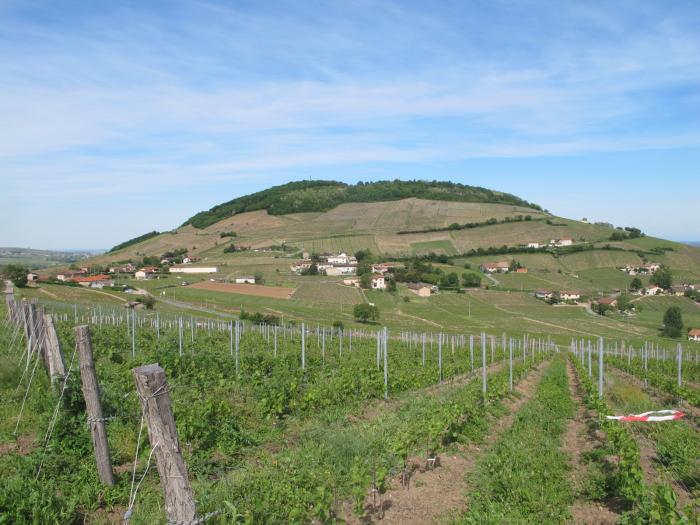Département du Rhône