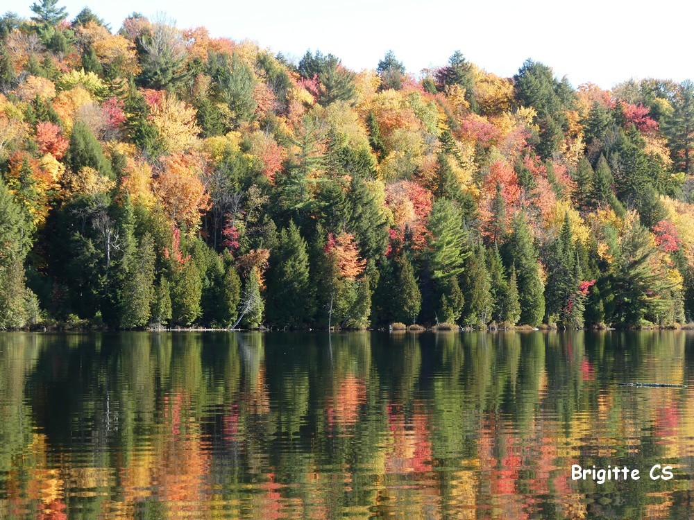 Rabaska à la pourvoirie du Lac Blanc au Canada...