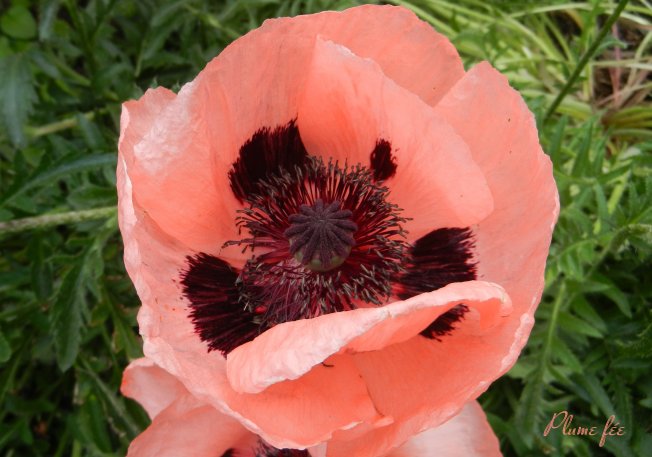 Image08.jpg