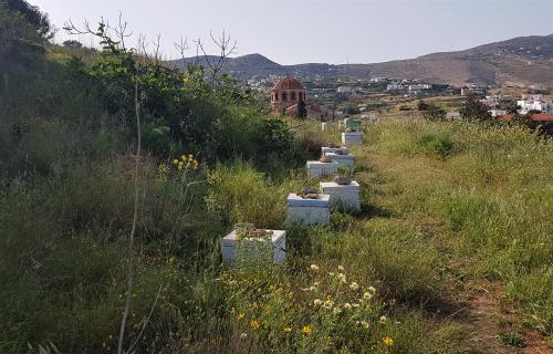 SYROS, la très belle...