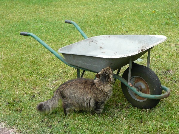 brouette-inspection-03.jpg