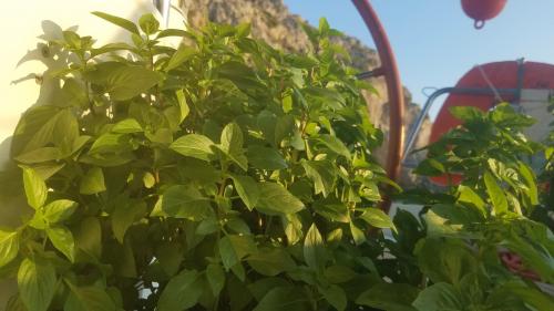 Le regard du géologue