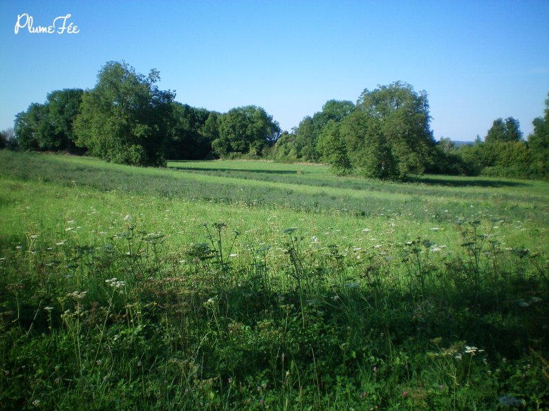 Image001.jpg