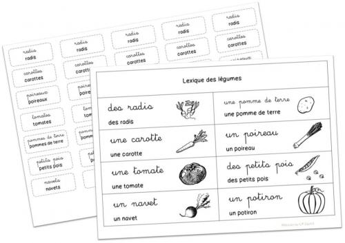 Activités autour de l'album  : Une soupe 100% sorcière !