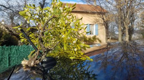 La ronde des crêtes