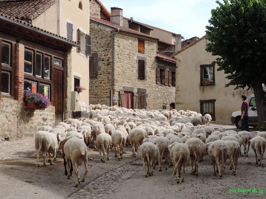 Lavaudieu Dept 43