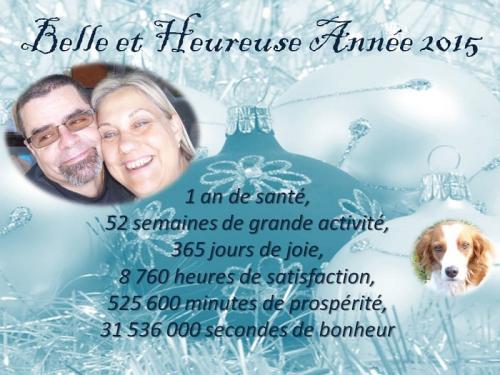 Belles fêtes de fin d'année