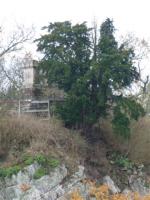 La randonnée du 4 décembre à Ouilly-le-Tesson