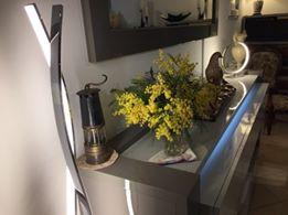 La récolte de mimosa !