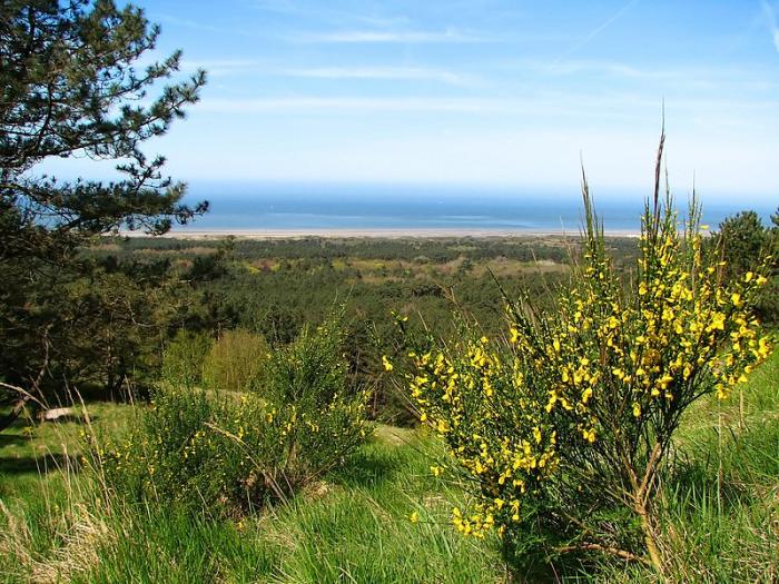Département du Pas de Calais