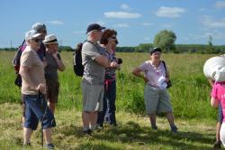 La randonnée du 11 juin à Cabourg