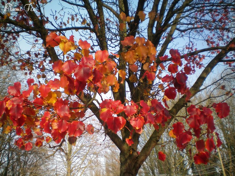 Image004.jpg