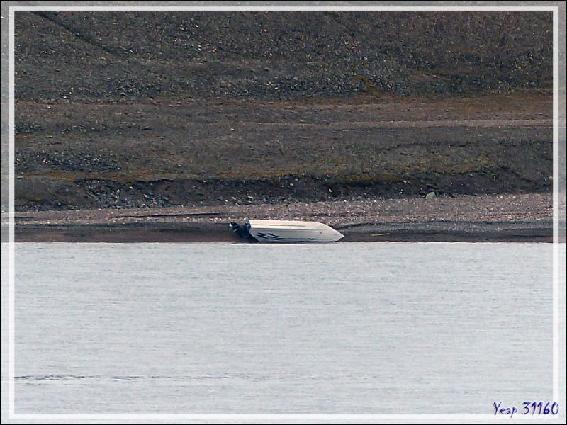 Au loin, en bordure de l'eau, une épave, c'est un bateau retourné en aluminum de type Harbercraft, équipé de deux moteurs - Guillemard Bay - Prince of Wales Island - Nunavut - Canada