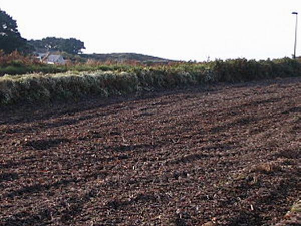 Courageux nos agriculteurs !