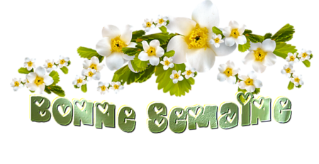 BERNADETTE 
