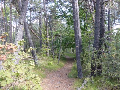 La Salette - 2 (St Jean-Montclar)