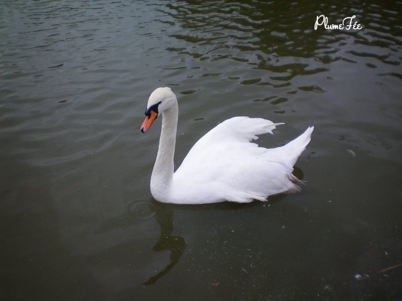 Image008.jpg
