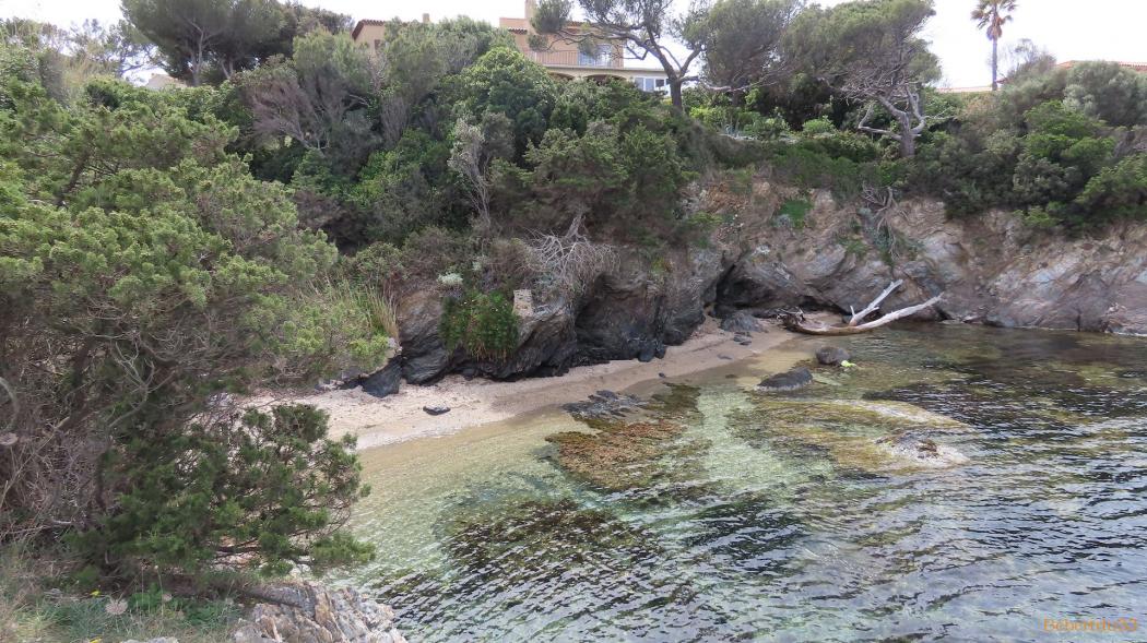 La Madrague - presqu'île de Giens - 14