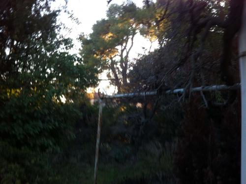 Démolition, Gestation immobilière 