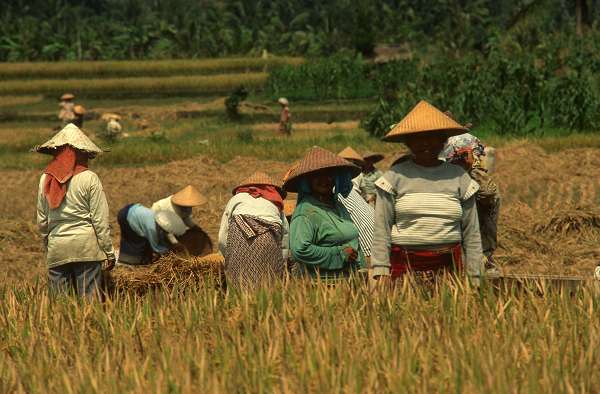"Bali, l'île des dieux", une conférence de Jean Ponsignon pour l'A.C.C.