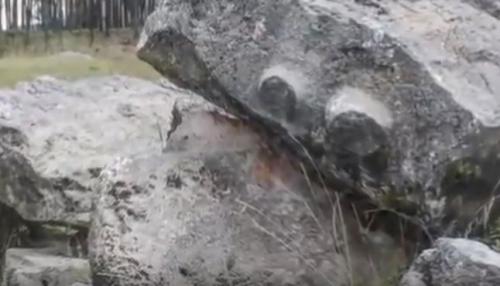 Similitudes historiques