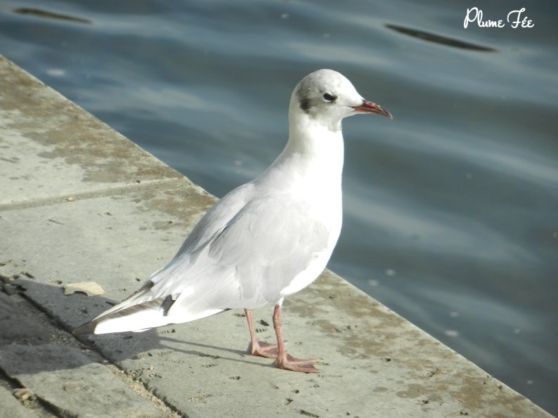 Image002.jpg