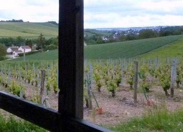 Randonnée entre Mareil-sur-Mauldre et Neauphle-le-Château