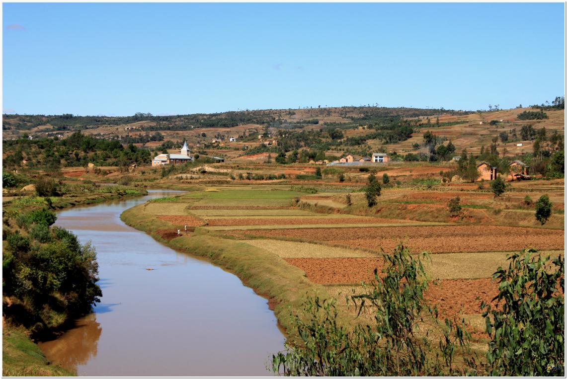 LES  RIZIERES  MALGACHE  SOUVENIRS 