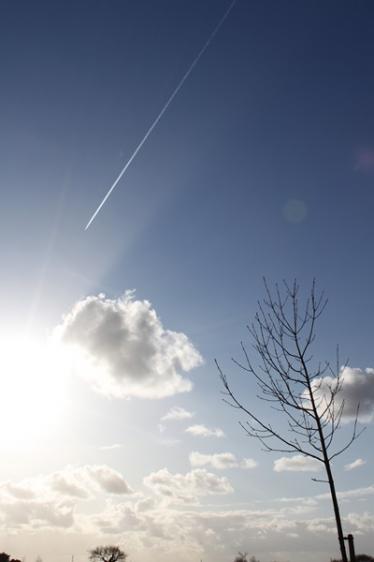 Du côté de Pontrieux (22) fév.2012 148