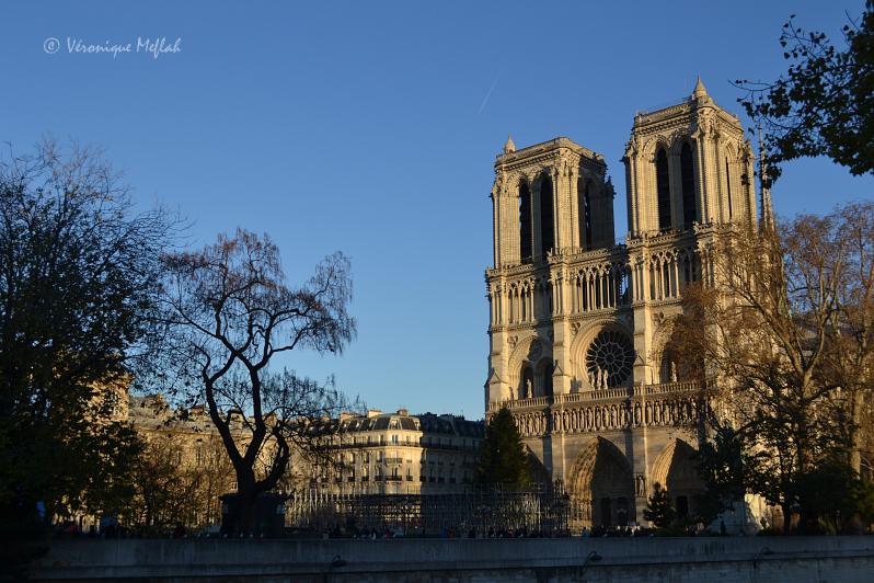Histoire de Notre-Dame de Paris et une petite question ...