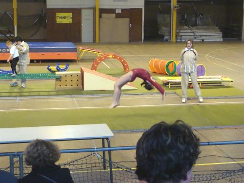 Le Téléthon 2009 à Châtillon sur Seine