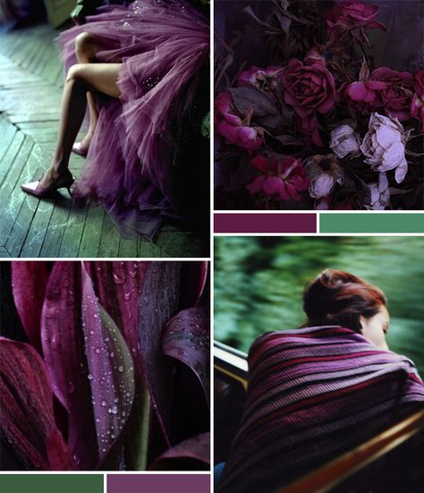 Collages violets