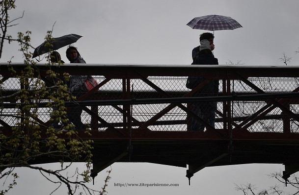 Pluie 1