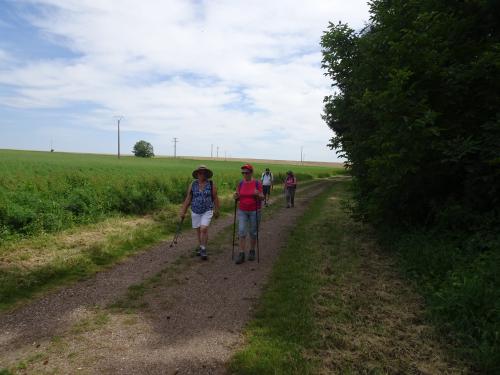 "Baladouce d'été" - Mardi 09 juillet 2024