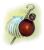 Compostelle 2012