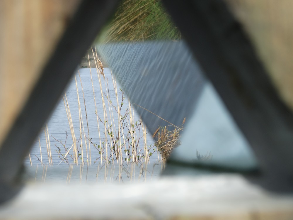 Les kaléïdoscopes du lac de Léon (1/3)...