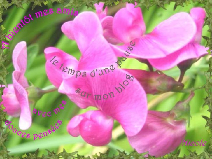 "Splendeurs graphiques" ...